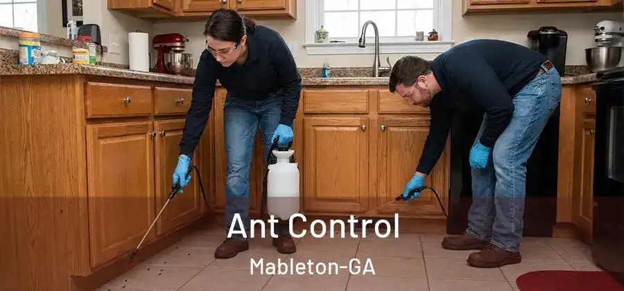 Ant Control Mableton-GA