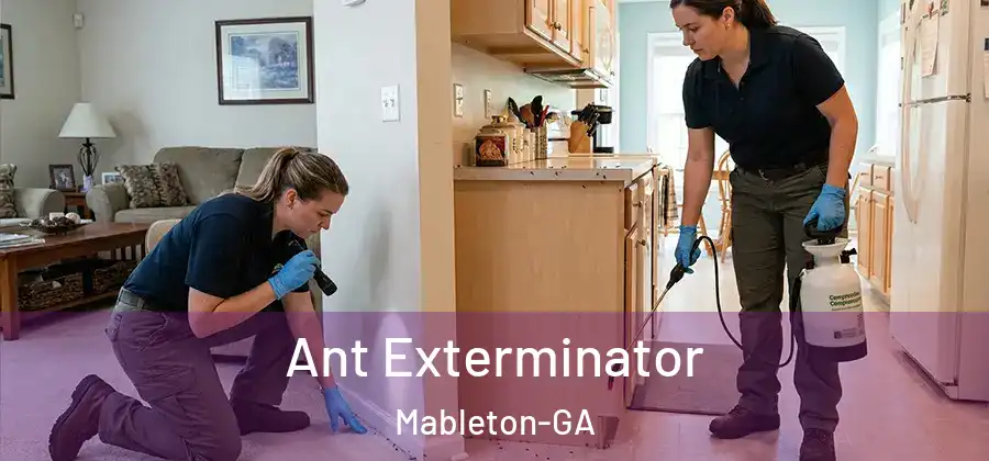 Ant Exterminator Mableton-GA