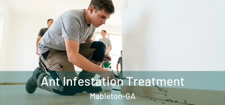  Ant Infestation Treatment Mableton-GA
