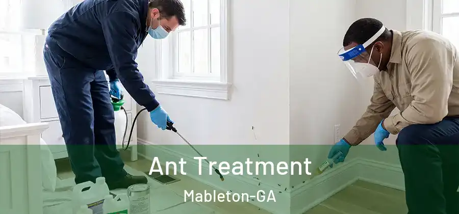 Ant Treatment Mableton-GA