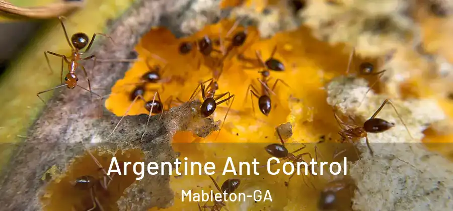  Argentine Ant Control Mableton-GA