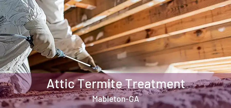 Attic Termite Treatment Mableton-GA