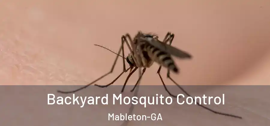 Backyard Mosquito Control Mableton-GA