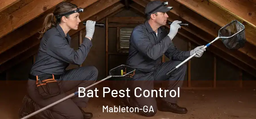  Bat Pest Control Mableton-GA