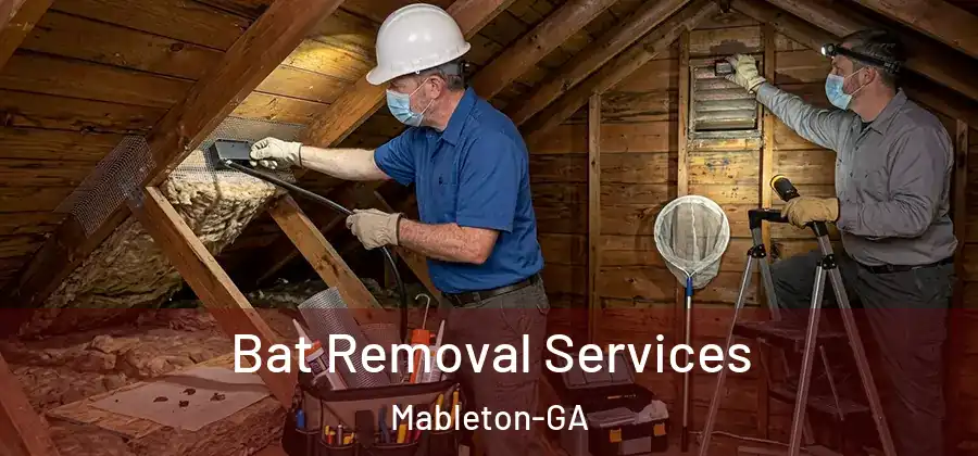 Bat Removal Services Mableton-GA