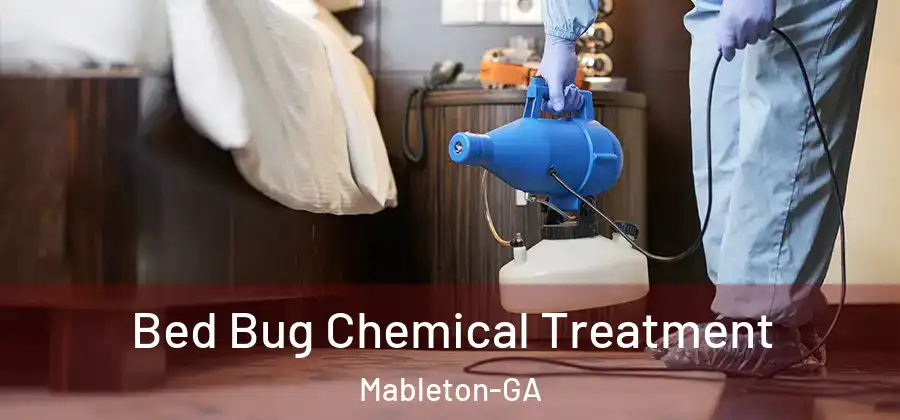  Bed Bug Chemical Treatment Mableton-GA