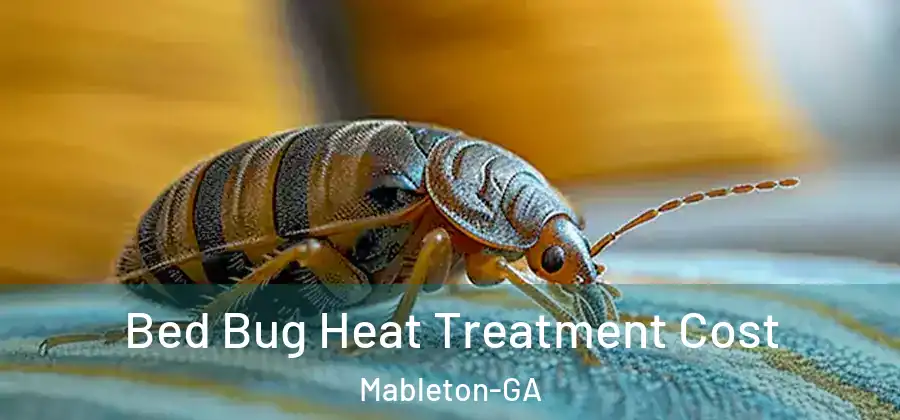 Bed Bug Heat Treatment Cost Mableton-GA