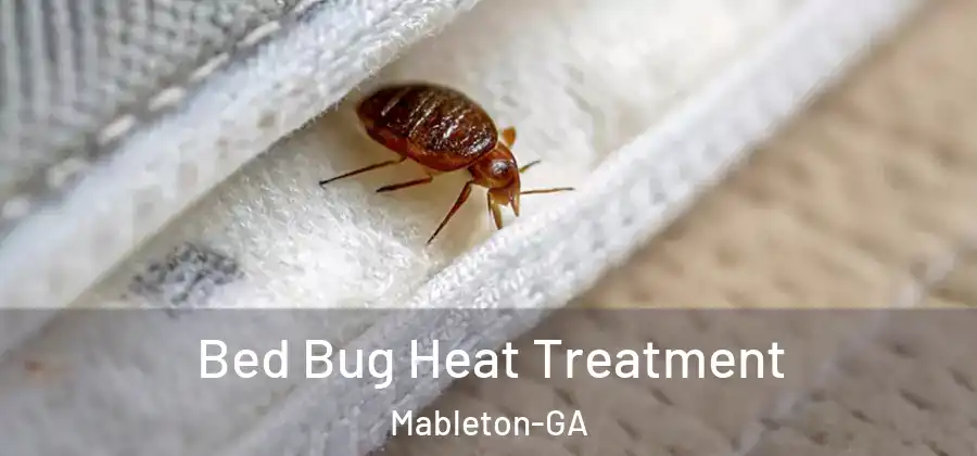  Bed Bug Heat Treatment Mableton-GA