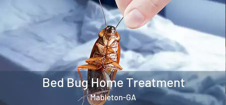  Bed Bug Home Treatment Mableton-GA