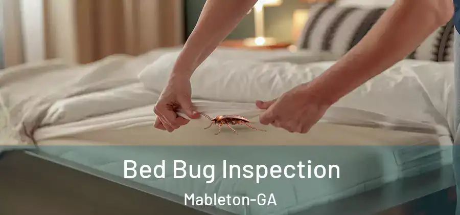 Bed Bug Inspection Mableton-GA