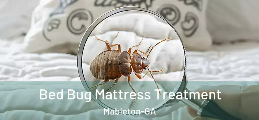 Bed Bug Mattress Treatment Mableton-GA
