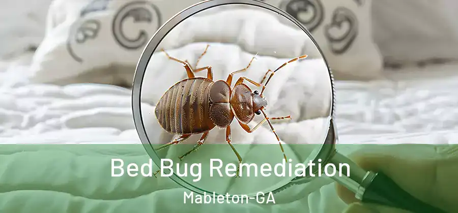 Bed Bug Remediation Mableton-GA