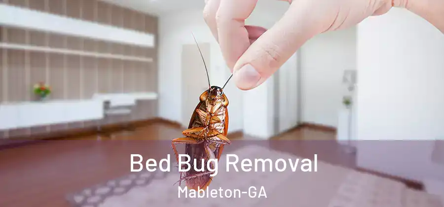 Bed Bug Removal Mableton-GA
