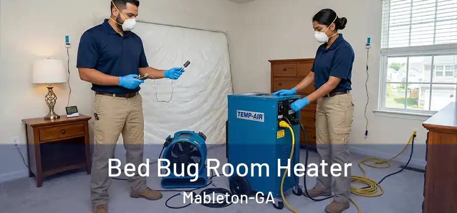 Bed Bug Room Heater Mableton-GA