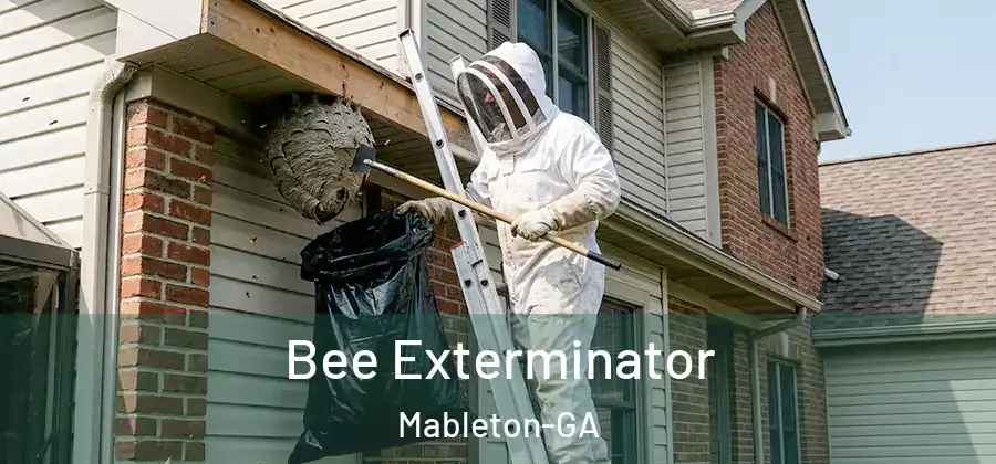 Bee Exterminator Mableton-GA