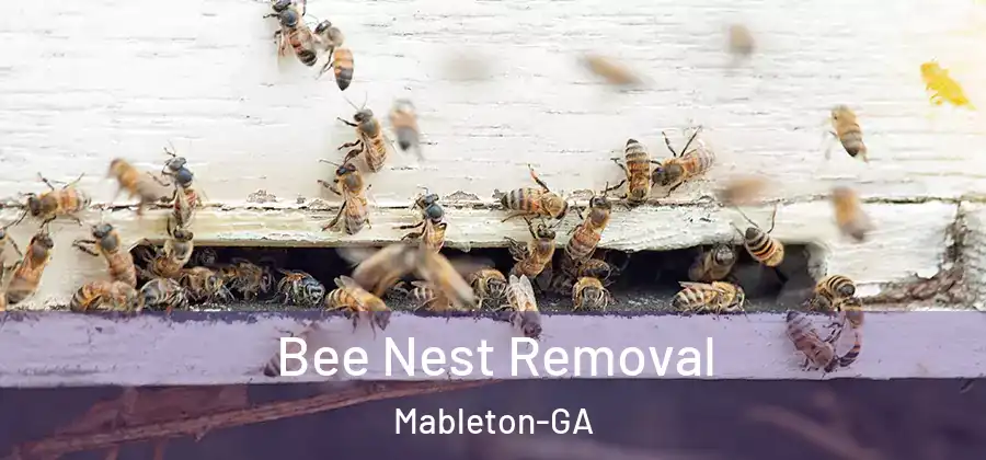 Bee Nest Removal Mableton-GA