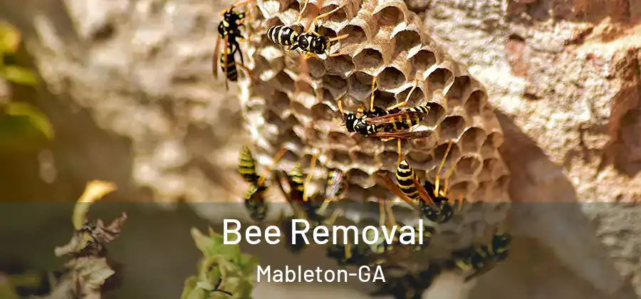 Bee Removal Mableton-GA
