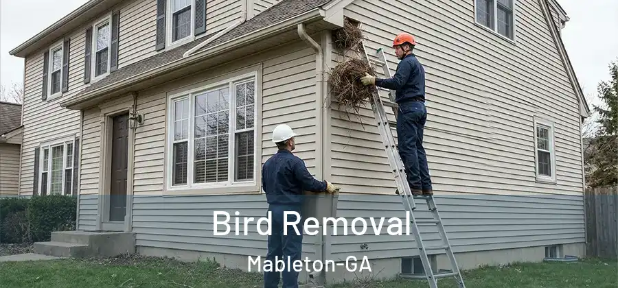 Bird Removal Mableton-GA