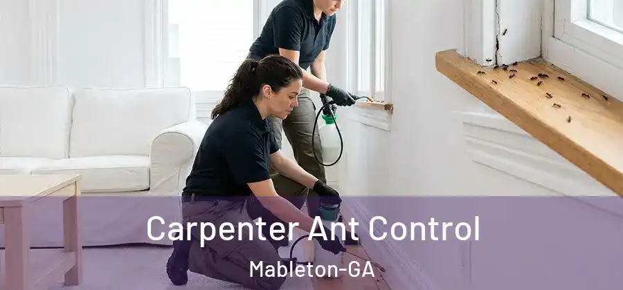Carpenter Ant Control Mableton-GA