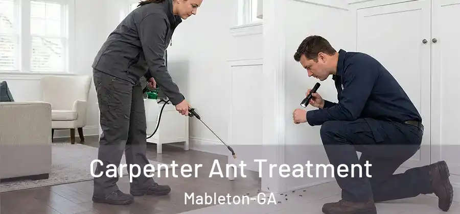 Carpenter Ant Treatment Mableton-GA