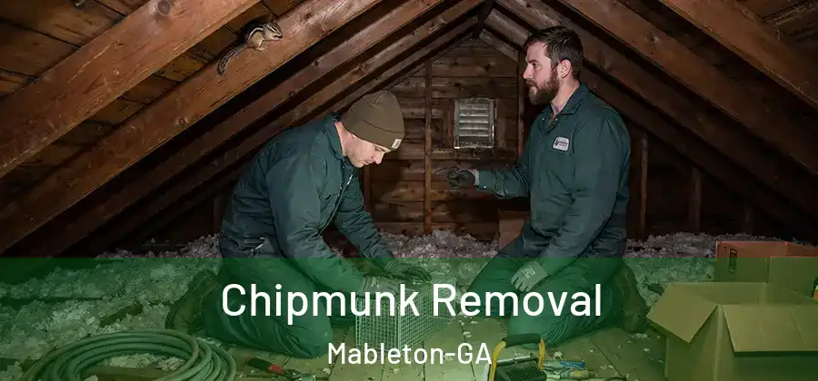 Chipmunk Removal Mableton-GA