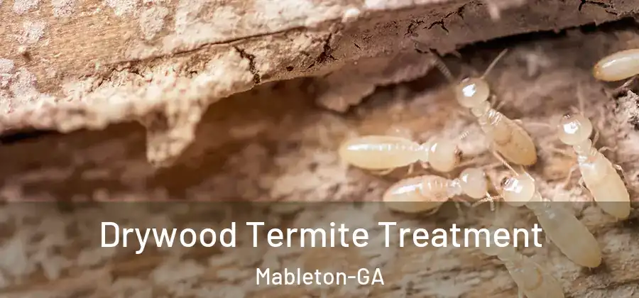 Drywood Termite Treatment Mableton-GA