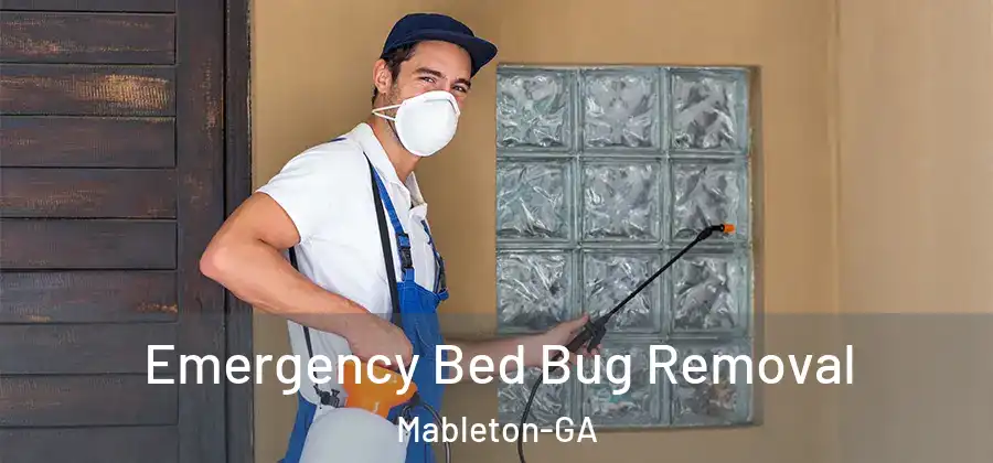 Emergency Bed Bug Removal Mableton-GA