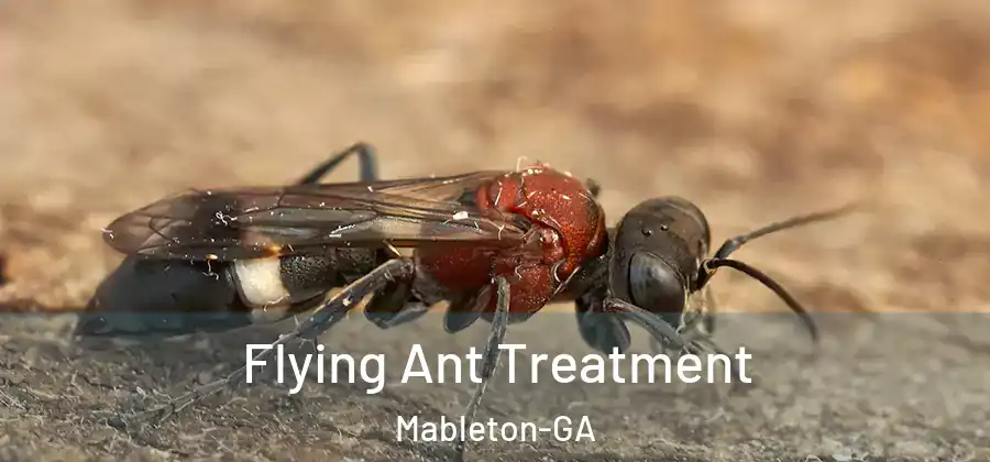 Flying Ant Treatment Mableton-GA