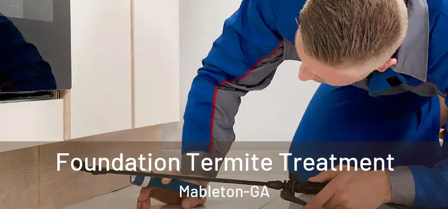  Foundation Termite Treatment Mableton-GA