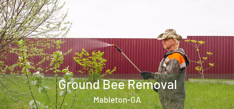 Ground Bee Removal Mableton-GA