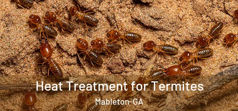Heat Treatment for Termites Mableton-GA