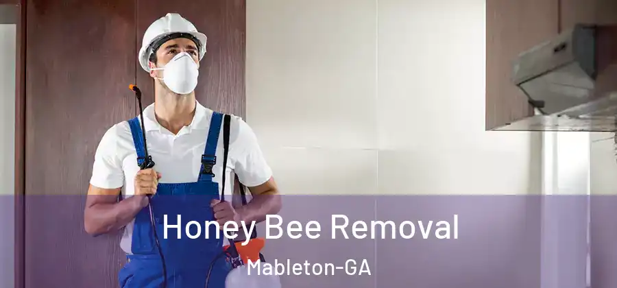 Honey Bee Removal Mableton-GA