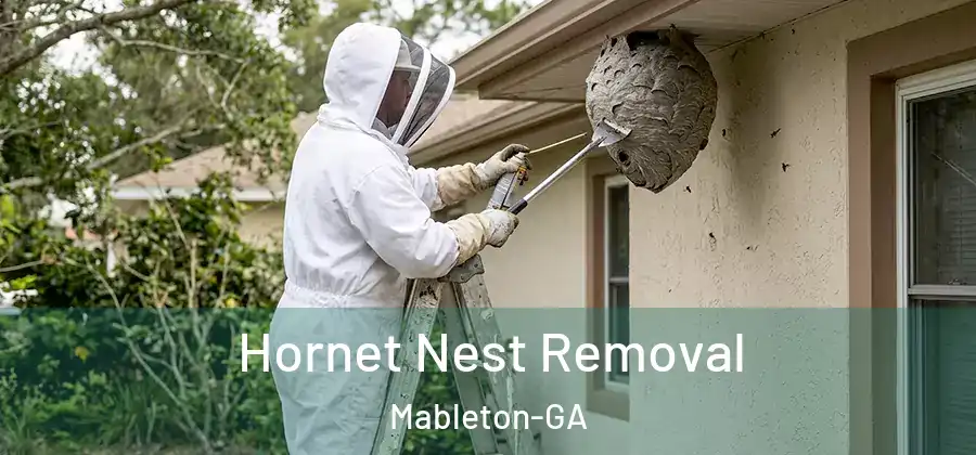 Hornet Nest Removal Mableton-GA