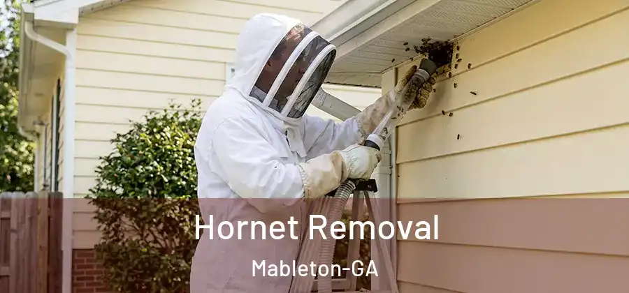  Hornet Removal Mableton-GA