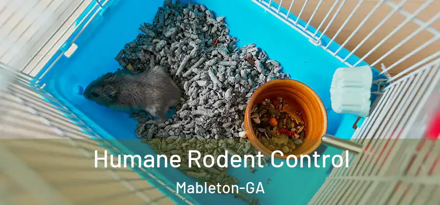 Humane Rodent Control Mableton-GA