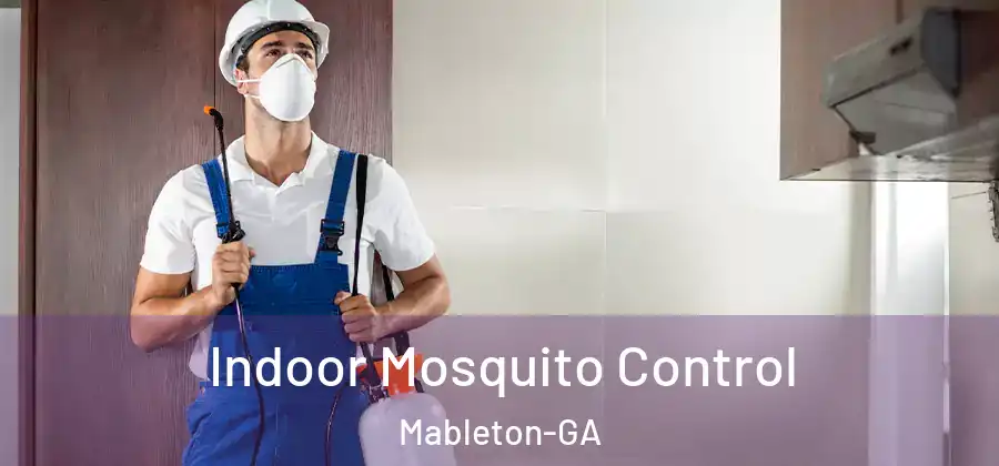 Indoor Mosquito Control Mableton-GA