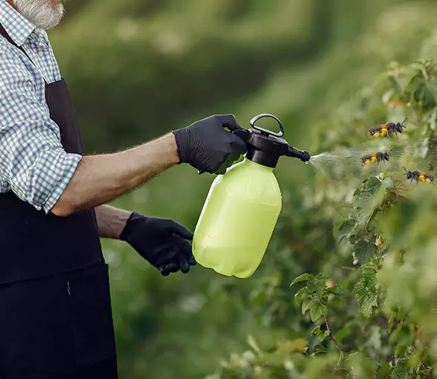 Your Carpenter Bee Service in Mableton, GA