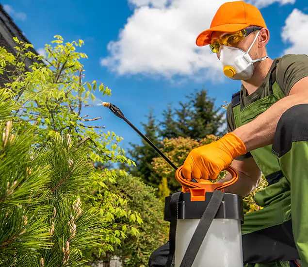 Your Best Bug Spray for Home Team in Mableton, GA