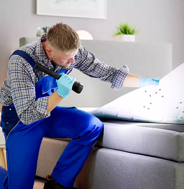 Why Choose Mableton Pest Control Pro For Bed Bug Heat Treatment in Mableton, GA?