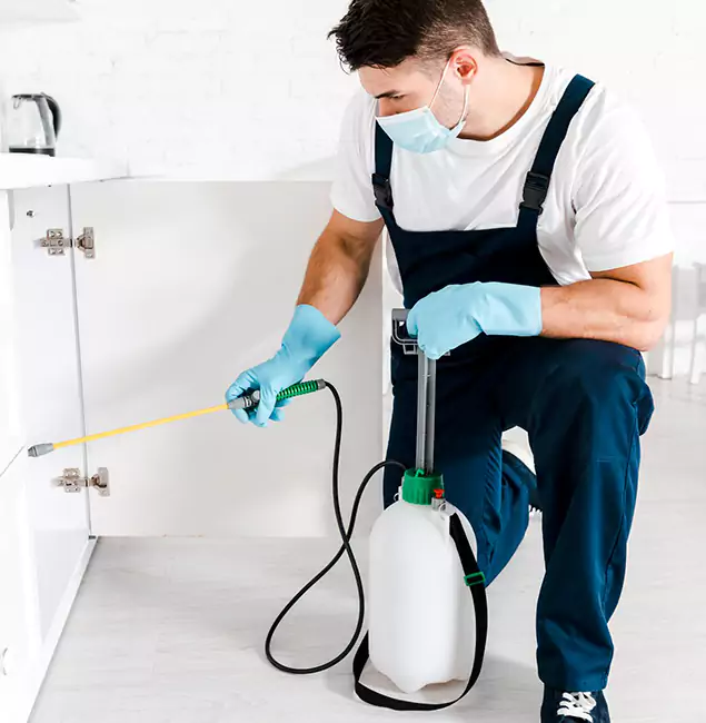 Why Mableton, GA Homeowners Trust Us for German Roach Control?