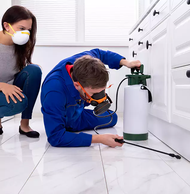 Why Mableton, GA Homeowners Trust Mableton Pest Control Pro for Roach Control?
