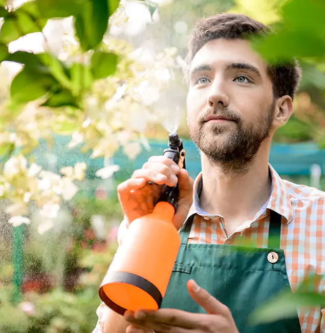 Why Mableton Pest Control Pro Is the Best Mosquito Control Company in Mableton, GA?