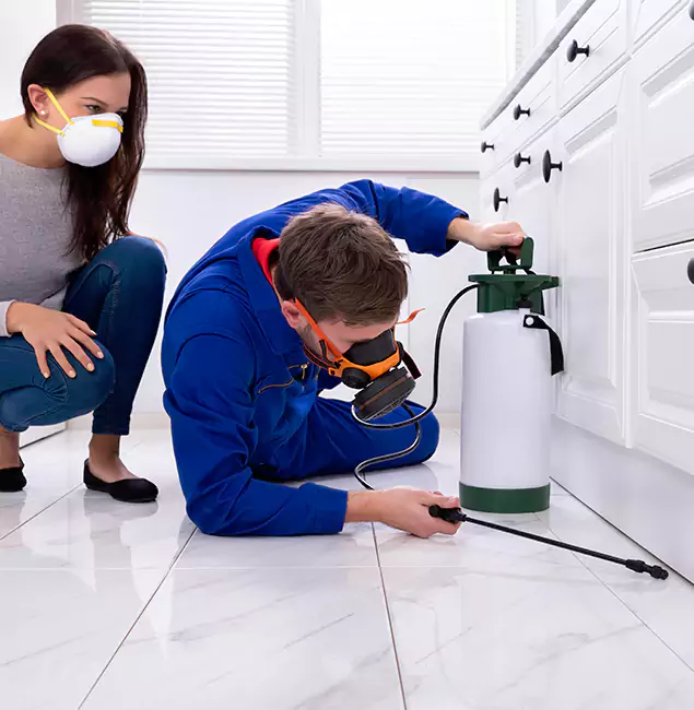 Why Choose Wood Termite Treatment by Mableton Pest Control Pro in Mableton, GA?