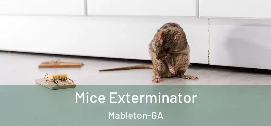 Mice Exterminator Mableton-GA