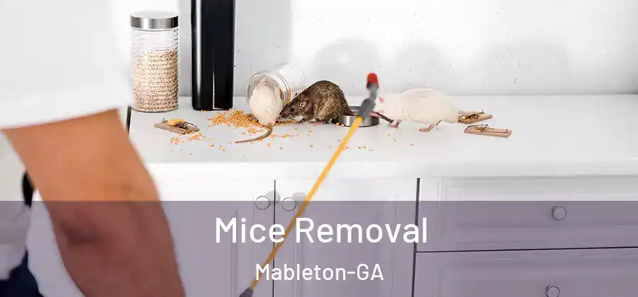  Mice Removal Mableton-GA