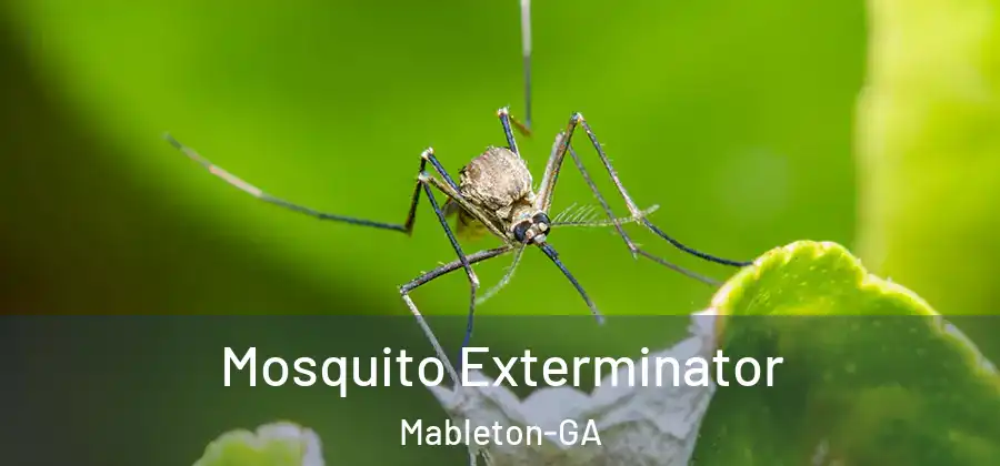  Mosquito Exterminator Mableton-GA