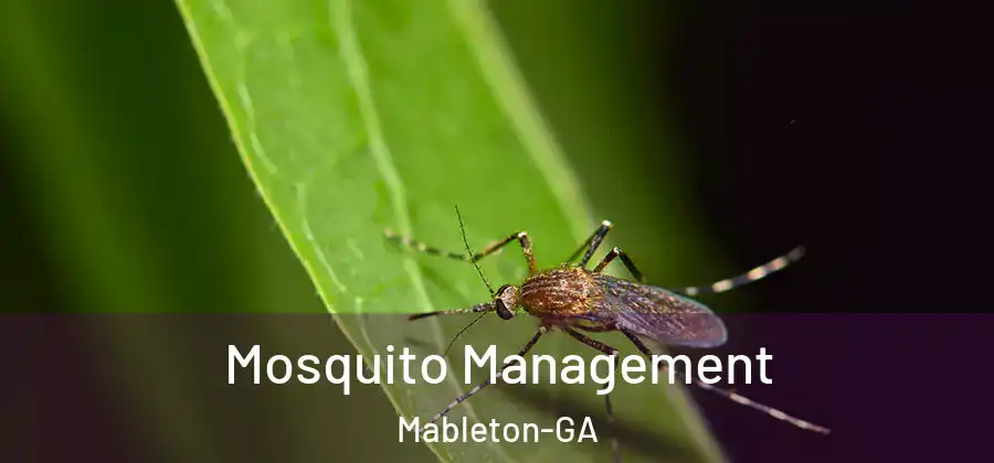  Mosquito Management Mableton-GA