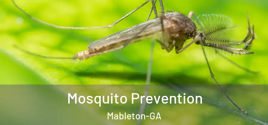 Mosquito Prevention Mableton-GA