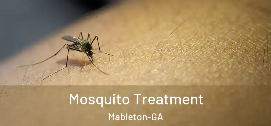 Mosquito Treatment Mableton-GA