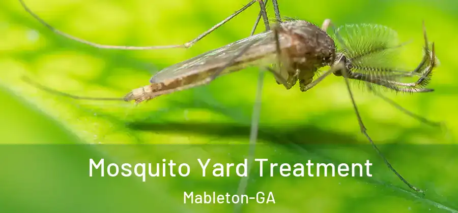 Mosquito Yard Treatment Mableton-GA